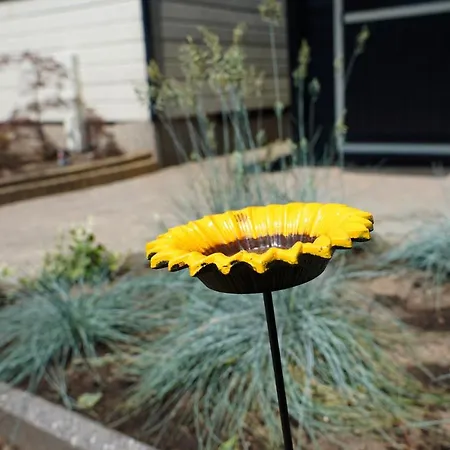 Gezellig En Relaxed In In Op De Veluwe! Alpehytte Putten