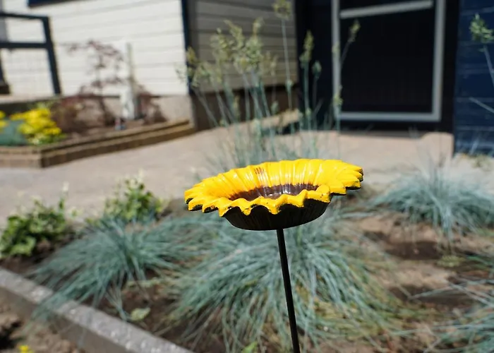 Gezellig En Relaxed In In Op De Veluwe! Alpehytte Putten
