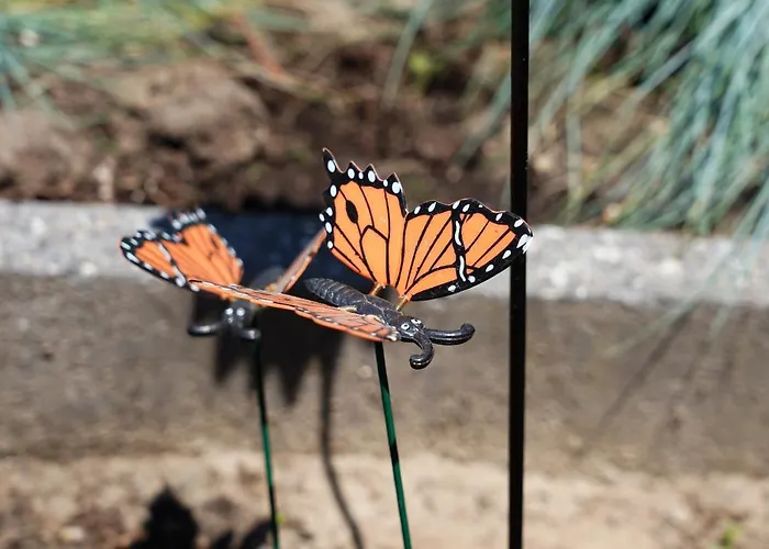 Chalet Gezellig En Relaxed In In Op De Veluwe! *