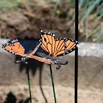 シャレー Gezellig En Relaxed In In Op De Veluwe! *