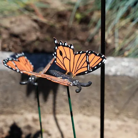 シャレー Gezellig En Relaxed In In Op De Veluwe! *